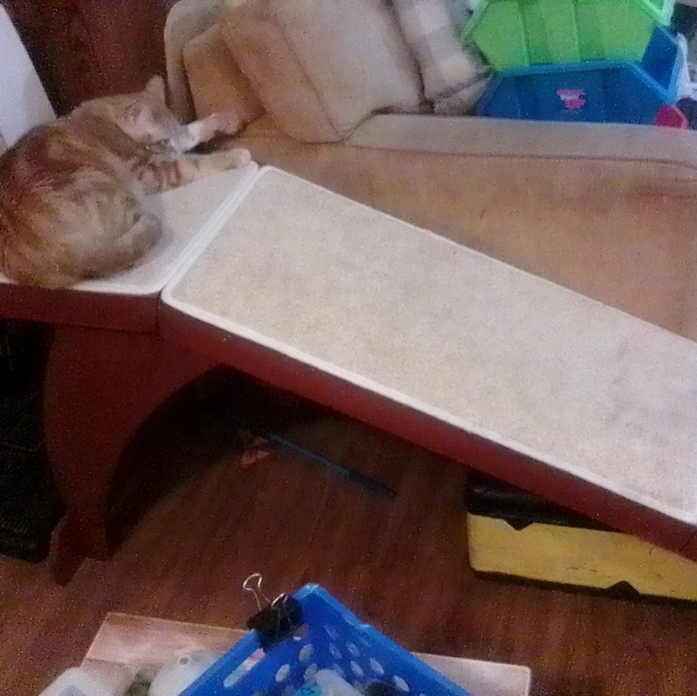Pet ramp - Picture 3 of 3